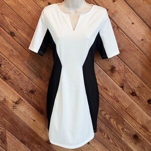 🆕 Ellison v neck short sleeve mini dress white black stretchy medium